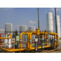 LNG Storage Tank